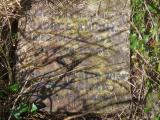 image of grave number 954062